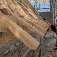 Asselin Employee Noémie Lacombe's profile photo