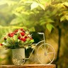 Pradeep Stainless Employee Sherlin Asirvatham's profile photo