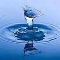 Serenity Counseling, LLC Employee Serenity Counseling's profile photo