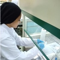 May Elsayed Email