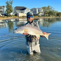 ANDERSON TRANSPORTATION & LOGISTICS, LLC Employee Stephen Zimmerman's profile photo