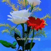 Rahee Group Employee Sarad Kumar's profile photo