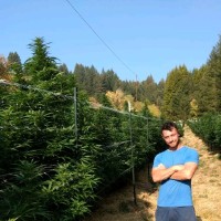 Sticky Employee Christopher Smith's profile photo