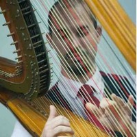 Bravo Group - Hospitality Staffing / Cleaning & Housekeeping / Workforce - Warehousing & Logistics Employee Cristiano Terra's profile photo