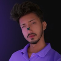 Fiverr Employee Nasir Bashir's profile photo