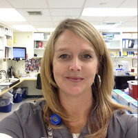 Diane Loftin Email & Phone Number