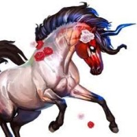 SouthFace Solar Electric Employee Tracy Dixon's profile photo