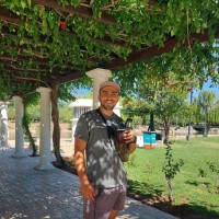 Solutions Malls Employee Tobias Requena's profile photo