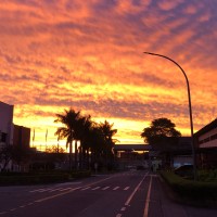 NSK India Sales Company Pvt Ltd Employee Yoshitaka Waki's profile photo