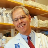Mount Sinai School of Medicine Employee Scott Friedman's profile photo