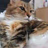 Kedify Employee Shy Undefined's profile photo