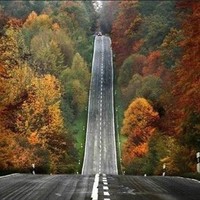 Frederick Hansen Email & Phone Number