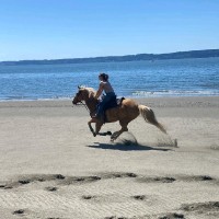 Corrie Erickson Email