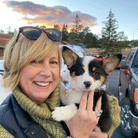 Centennial Equipment Co Inc Employee Alecia Lowney's profile photo