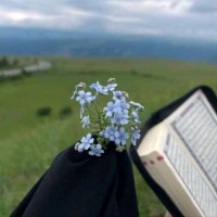 createivo Employee ساره ماهر's profile photo