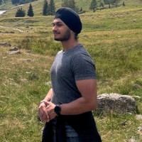 Wise Ingegneria e Soluzioni Software Employee Manmeet S.'s profile photo