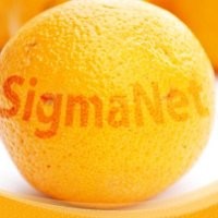 Webdesign Email
