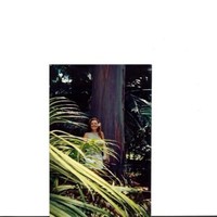 Jewell Cornette's profile photo