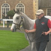 The National Stud- Part of The Jockey Club Employee Toby Berringer's profile photo