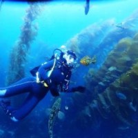 Isabela（Mia） Frederick