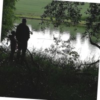 Roy Black Email