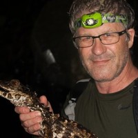 Serpen-Sauria Enterprises Employee Mark Wolfson's profile photo