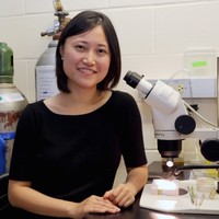 Helen Hou Email & Phone Number