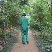 Centre for Ecosystem Restoration - Kenya Employee Protus Mutua's profile photo