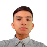 SINETICS Employee Leo Daniel Flores Sánchez's profile photo