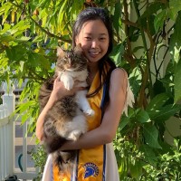Mini Cat Town, Inc. Employee Thi Bui's profile photo