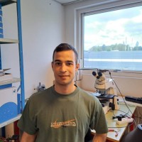 IntuBio Employee Vasilis Perros's profile photo