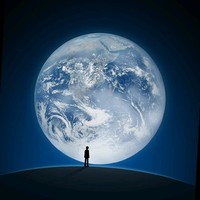 Royal Paper Box Co. Employee Erik Galvan's profile photo