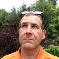 The Metropolitan Museum of Art Employee Lee Berman's profile photo