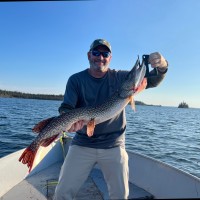 Todd Smith Email & Phone Number