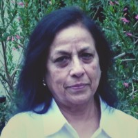 Cann Group Employee Vijay Kaul's profile photo