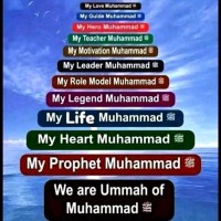 BDO Ebrahim & Co. Employee Muhammad Majeed's profile photo