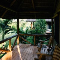 Molecular Assemblies, Inc. Employee Leigh Elkolli's profile photo