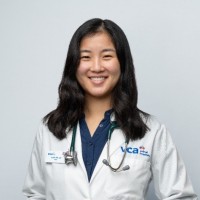 VCA SouthPaws Veterinary Specialists & Emergency Center Employee Lydia Liu's profile photo
