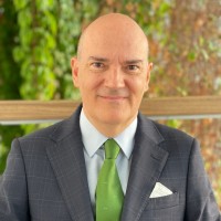 Guillermo Vallés Albar Email