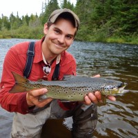 ABM MECHANICAL, INC. Employee Daniel Dykstra's profile photo