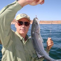 Dale Ballard
