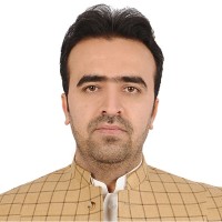 Solidarity Committee for Afghanistan Employee Habib Muqbel's profile photo