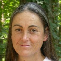 Blount County Schools, Tennessee Employee Wanda Dewaard's profile photo