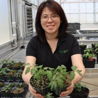 Sun Gro Horticulture Employee Ka Jeong's profile photo