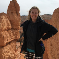 Diane Larson Email & Phone Number