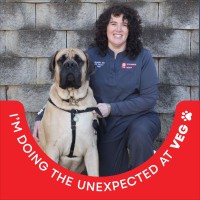 VEG ER for Pets Employee Jennifer Sim's profile photo