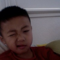 Stephen Tran