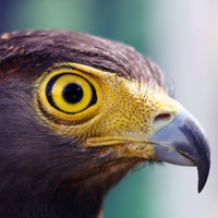 Royal Marines Employee Richard Peake's profile photo