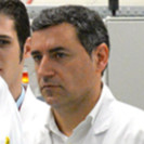 Armando Alves Email