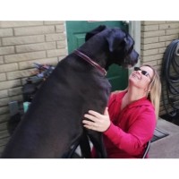 Georgia Tomlinson Email